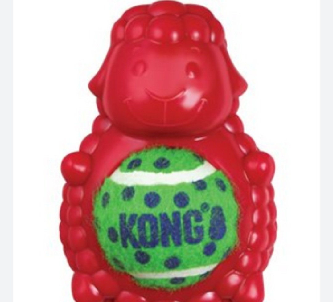 Kong tennis pals pecora