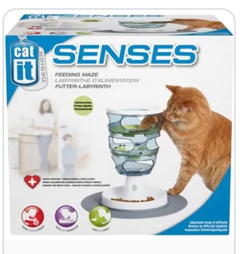 Gioco interattivo per gatti